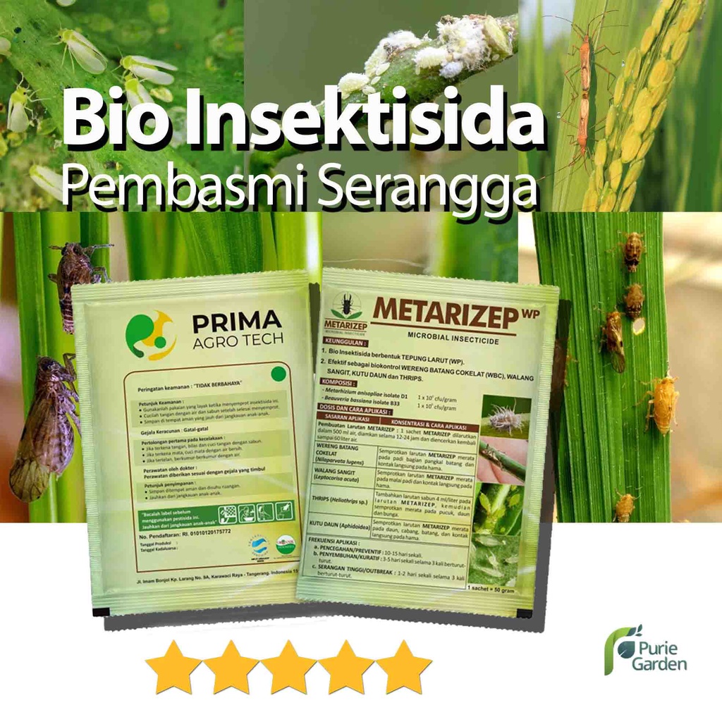 Bio Insektisida Metarizep 50 gram