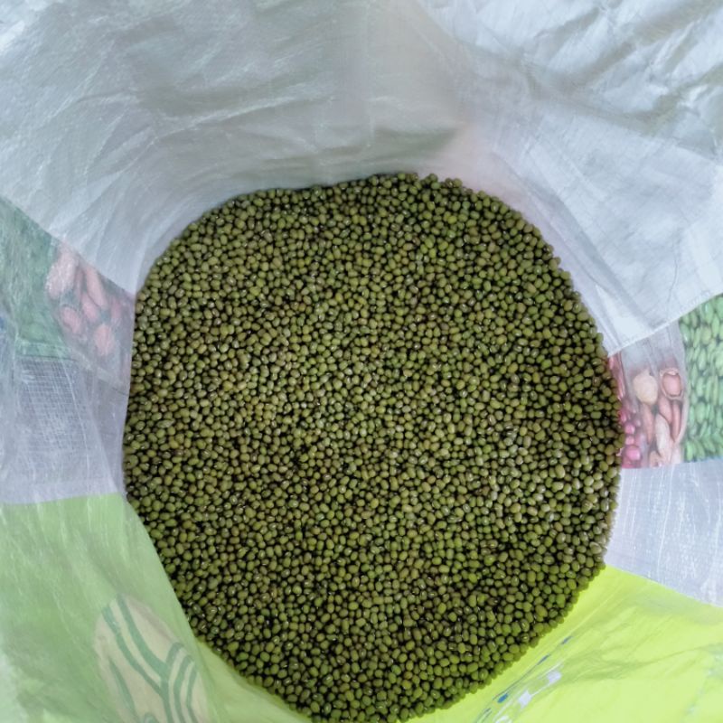

kacang kacangan , kacang hijau