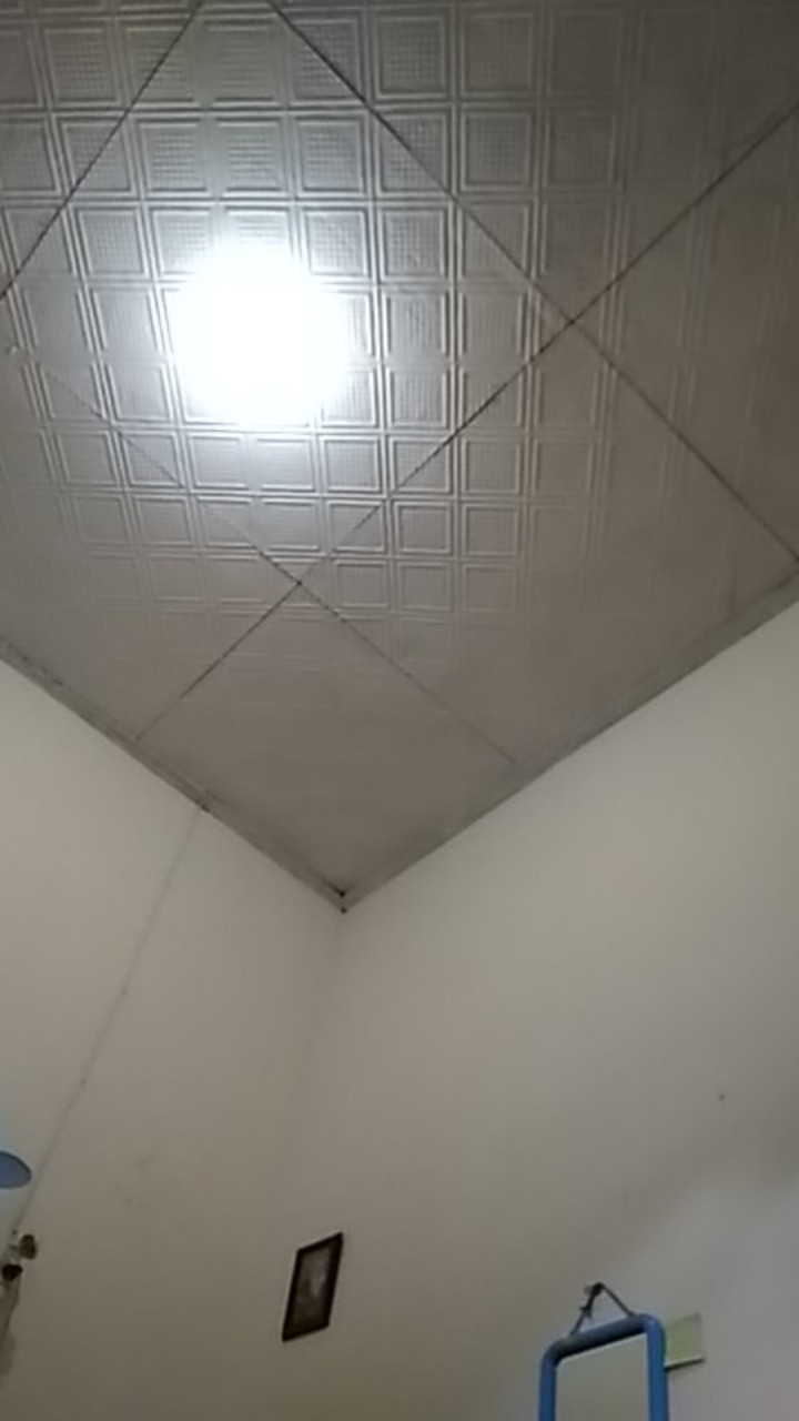 Bswart Batik Hrb026 Kenongo Hem Pendek Padi Pekalongan M L Xl Batik Pria Murah Modern