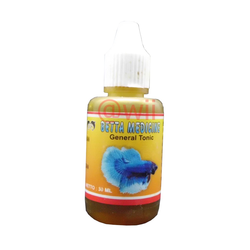 betta medicine obat ikan cupang hias plakat bagan giant halfmoon serit