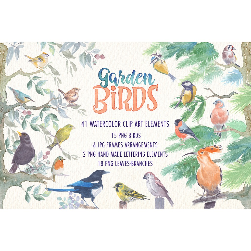 Garden Birds Watercolor Clipart - Vector Designs