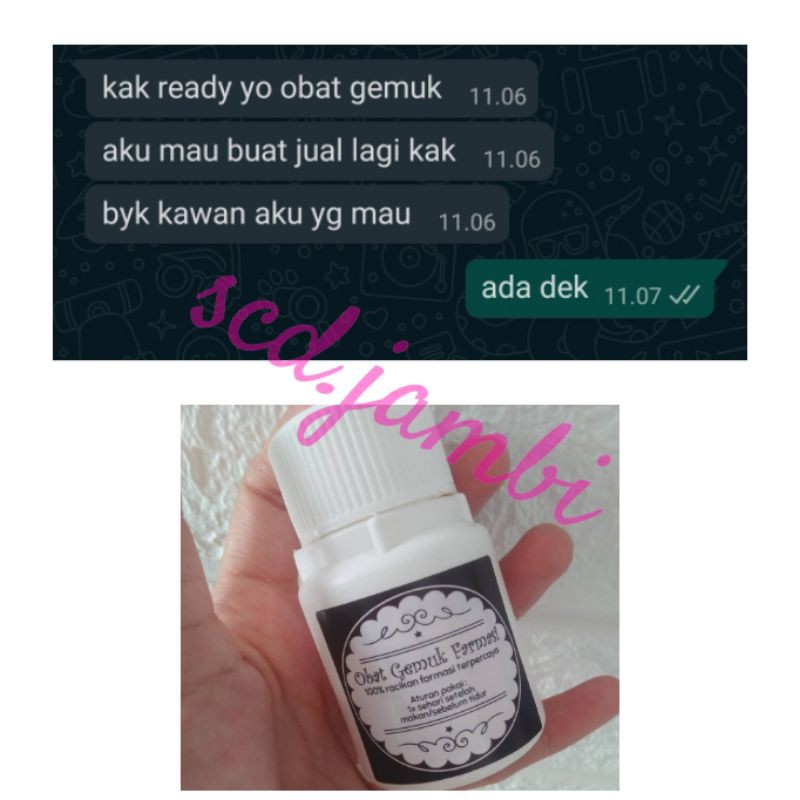 Obat gemuk farmasi original