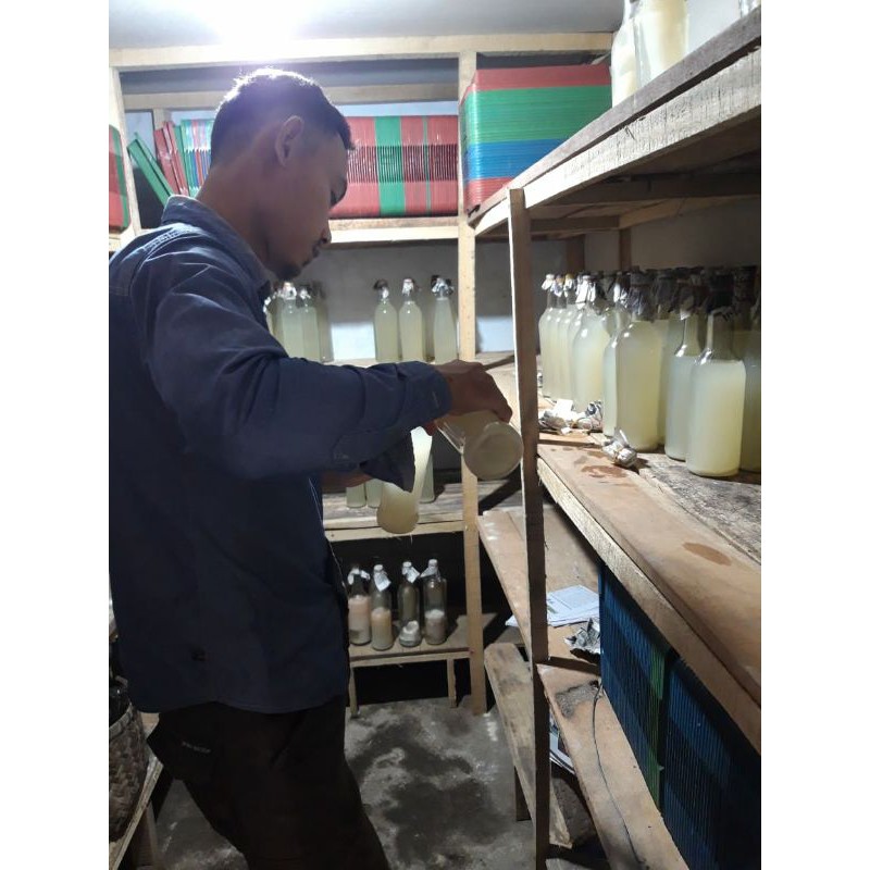 Bibit nata de coco /Starter nata de coco Acetobacter Xylinum 500ml