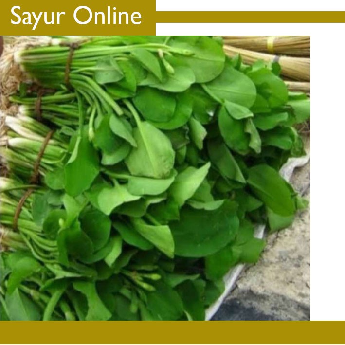 

[SayurOnline] GENJER SAYUR [1 Ikat, ±150g]