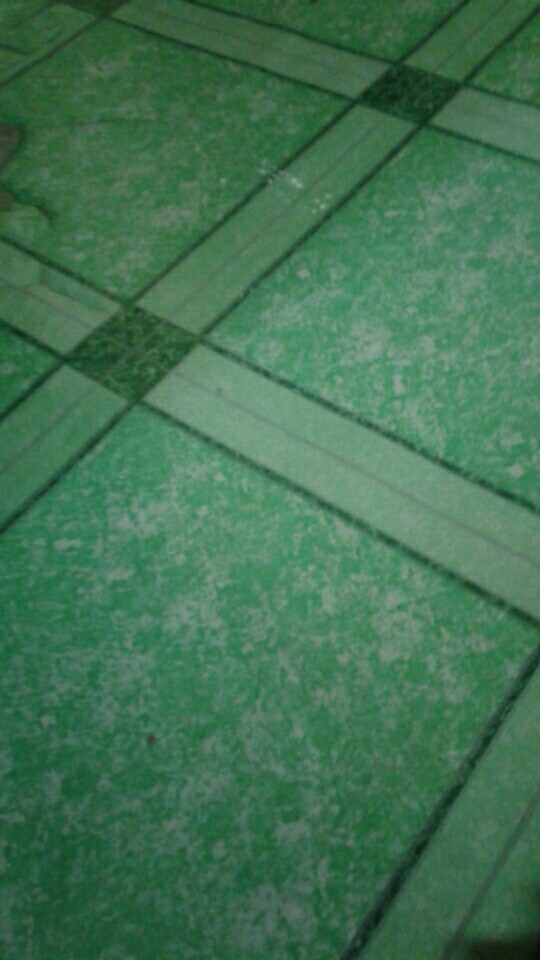 Teko Beranak Anable Cpm