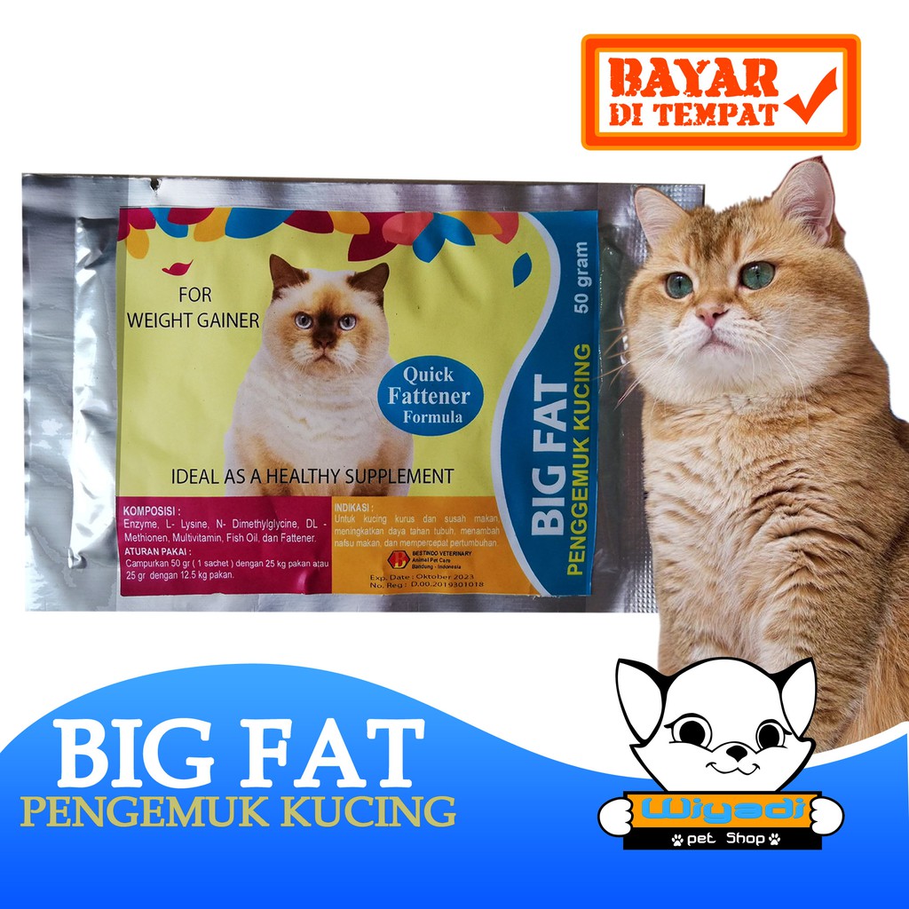 BIG FAT - Obat Suplemen Vitamin Penggemuk Penambah Napsu Makan Kucing Dan Kitten Kurus