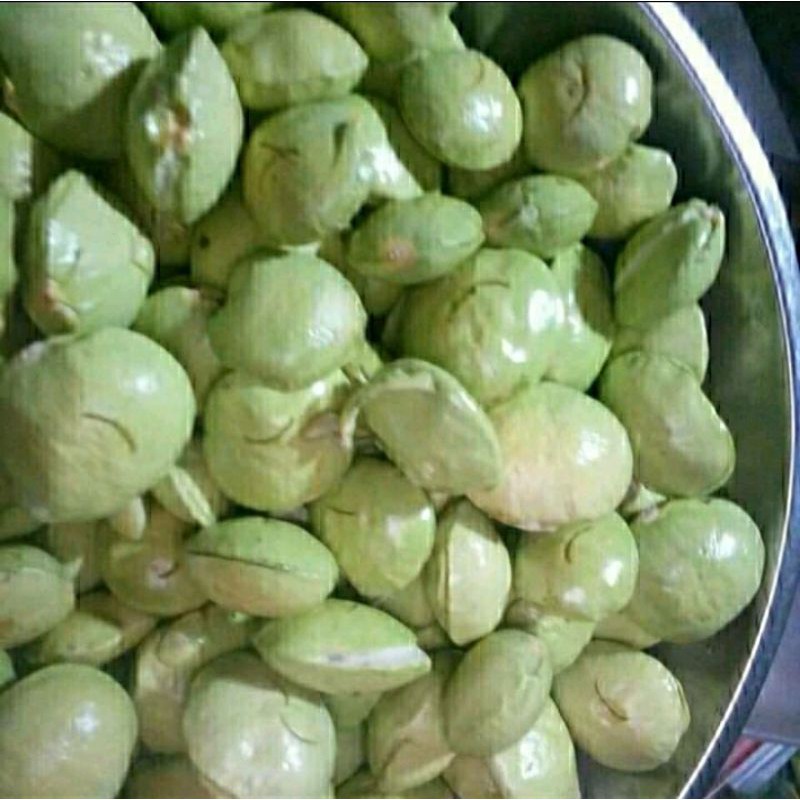 

jengkol muda untuk lalapan segar 1kg