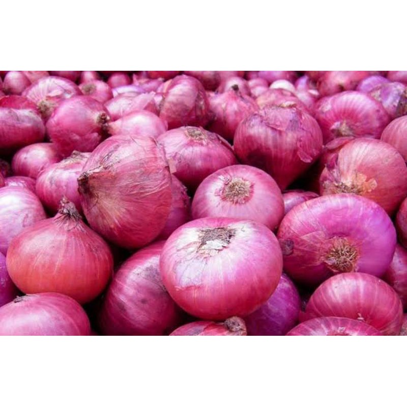 

BAWANG MERAH SUPER PROBOLINGGO