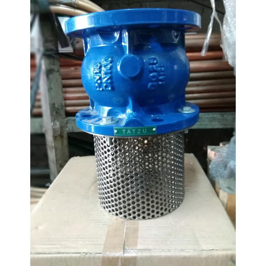 Foot Valve 6" Flange