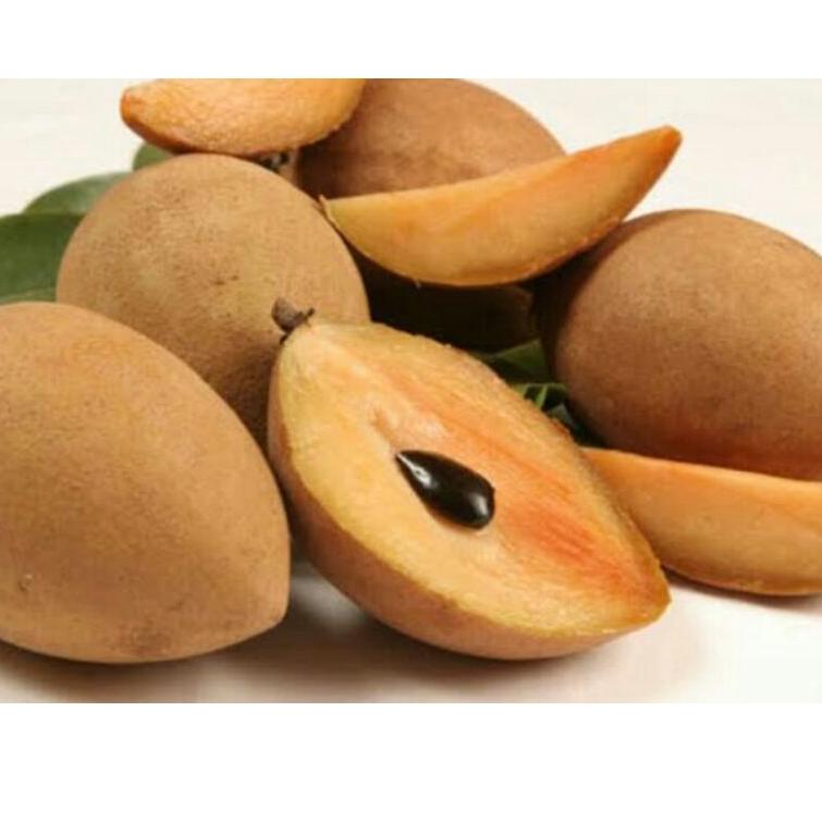 

➝ buah sawo super manis fresh ㄱ