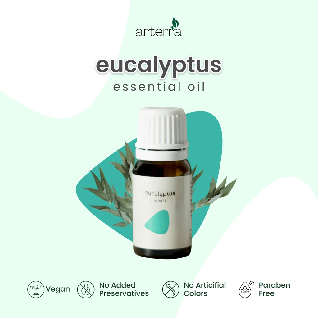 ARTERRA EUCALYPTUS ESSENTIAL OIL 10ML | 100% PURE - AROMATHERAPY