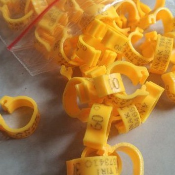 ring merpati. ring klip dawasa request nama bahan plastik bisa d buka tutup