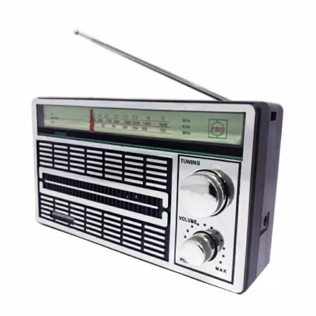 INTERNASIONAL F-4250 FM AM SW PORTABLE  RADIO