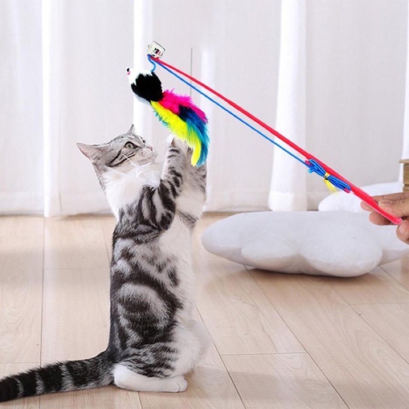 Cat Toy PANCING TIKUS / Mainan Hewan Kucing Anjing