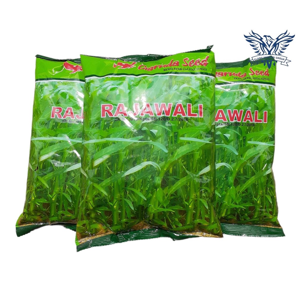 Benih Bibit Kangkung Rajawali 1 Kg 100% Original