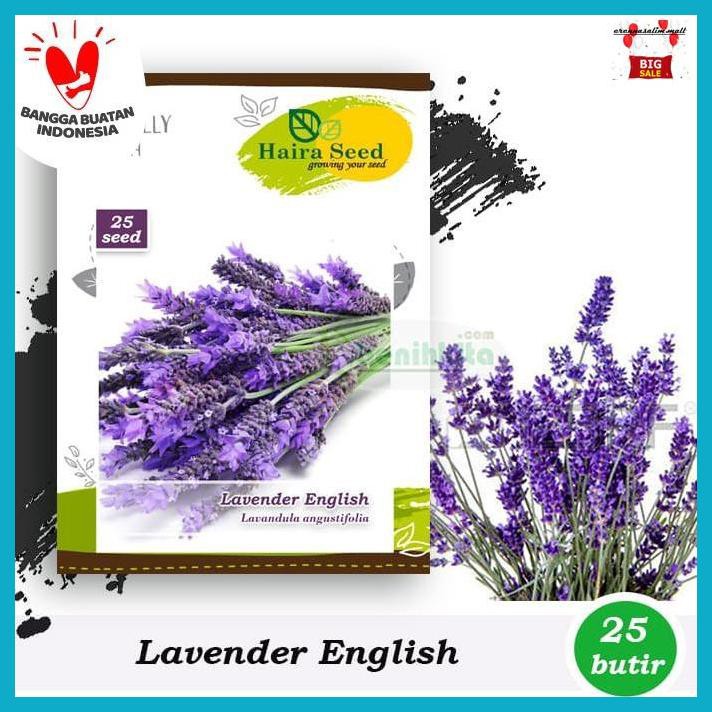 Tibibhineb- Benih-Bibit Bunga Lavender English (Haira Seed) -Aslii.