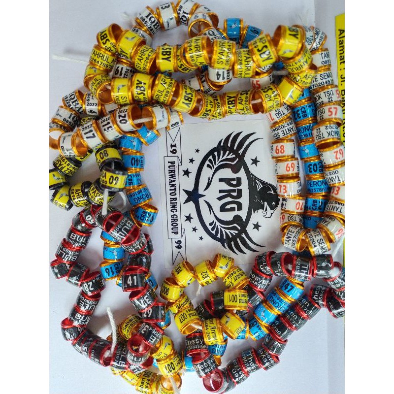 Ring Merpati Nuri Sun courne Indian Ringneck Model Roda Minimal 10biji