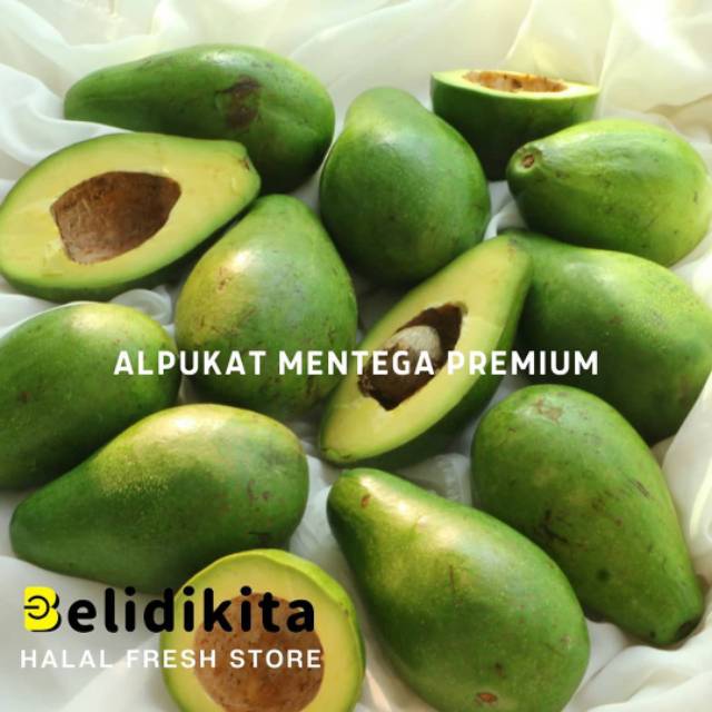

Alpukat Mentega Premium | Alpukat Mentega Mataram