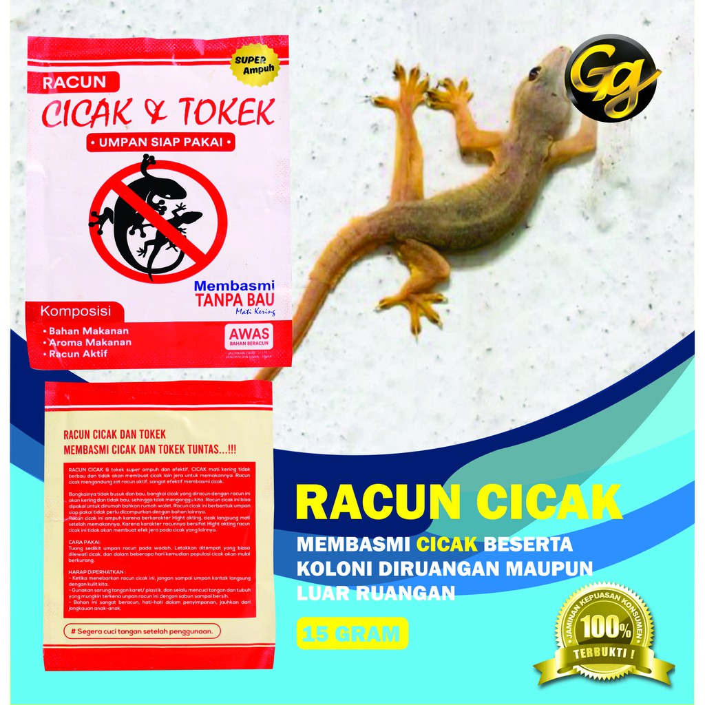 7 Cara Ampuh Usir Cicak Di Rumah Mulai Racun Bawang Putih Hingga Air Dingin Halaman All Tribunjambi Com