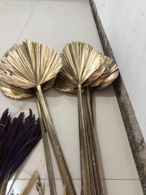 Daun Palem Gold L.25 Cm/dried Palm Leaves / Cuting Bagus