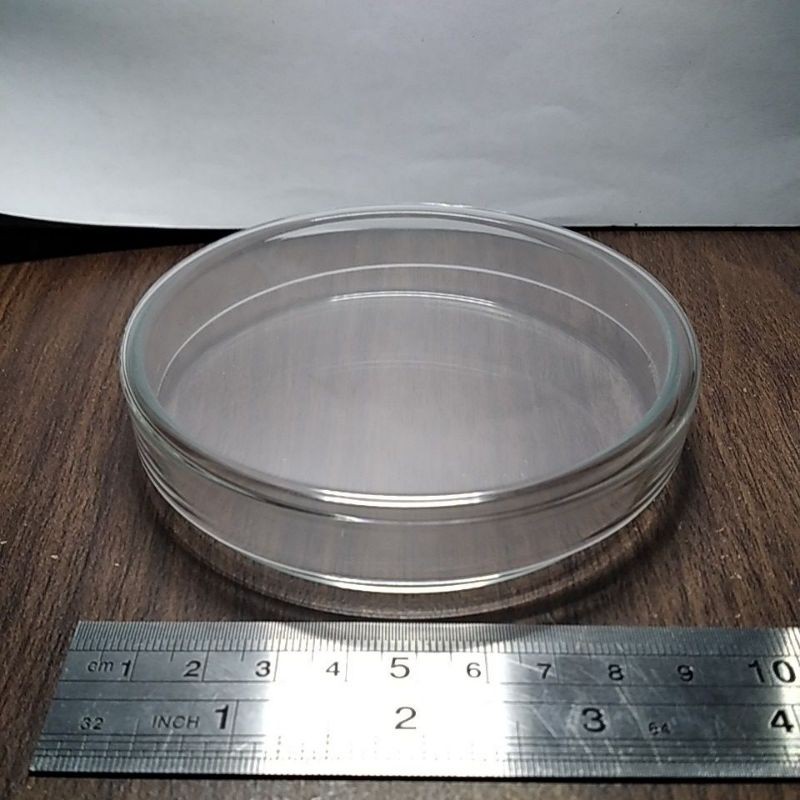 Petrischalen aus Glas mit Deckel, 60 x 15 mm | 210.320.02 Petrischalen aus Glas mit Deckel, 60 x 15 mm | 210.320.02