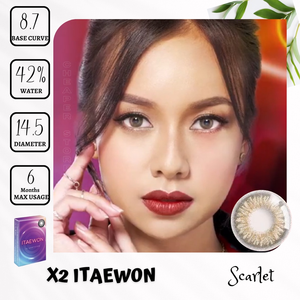 SOFTLENS ITAEWON  BY EXOTICON NORMAL ONLY | DIA 14.5 MM