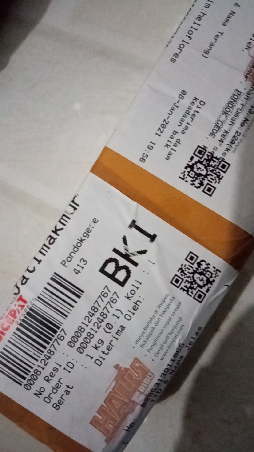 Ready Bonggol Aglonema Red Khocin