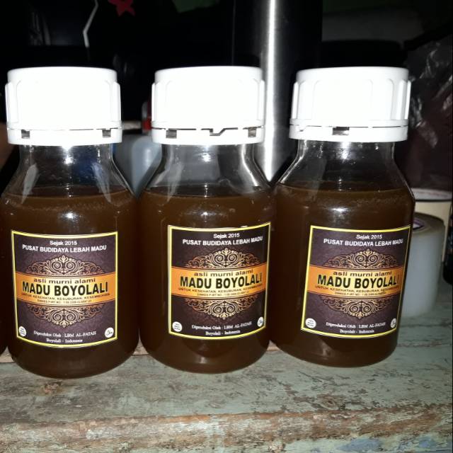 

Madu lebah klanceng murni