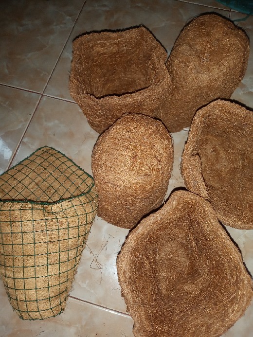 Pot Tempel / Pot Gantung / Pot Sabut Kelapa / Tanaman Anggrek / Dendrobium / Media Tanaman Anggrek