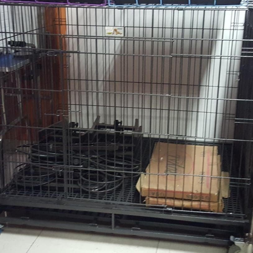 Kandang Anjing Octagon Jumbo Besar xxl - Kandang Lipat Roda- Pet Cage