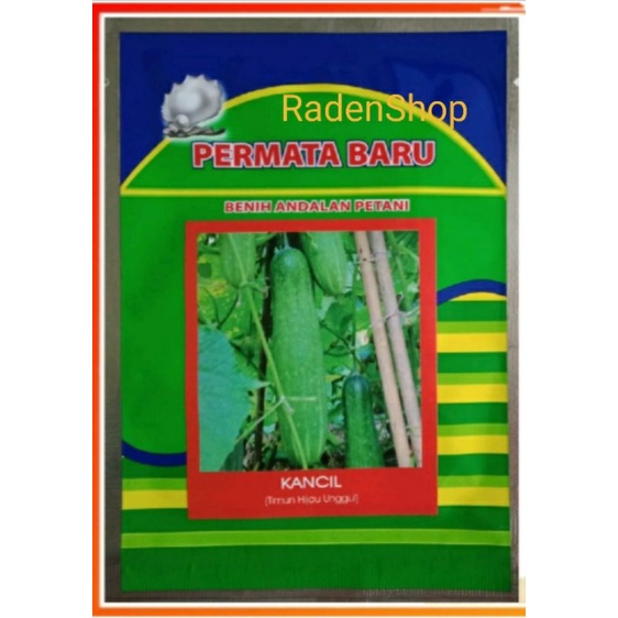 Isi 10 Gram Bibit Timun Hijau KANCIL | Benih Timun | Mentimun | Bibit Unggul
