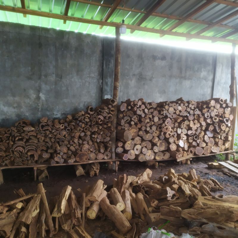 (PROMO TERBATAS) Gaharu Buaya Batangan 1kg Gaharu Buaya Bulat 1000% Asli Alami Kalteng