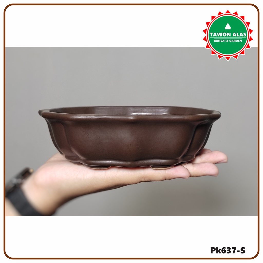 Pot Bonsai Keramik Unik Bagus