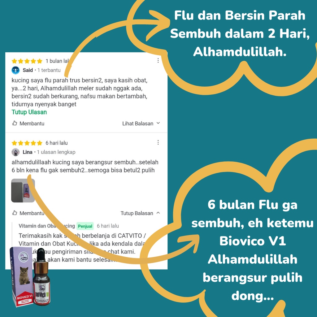 BIOVICO V1 Obat Kucing FLU Pilek Demam Virus Kitten Panas Antibiotik Pernafasan Kucing Ampuh Manjur dan Aman