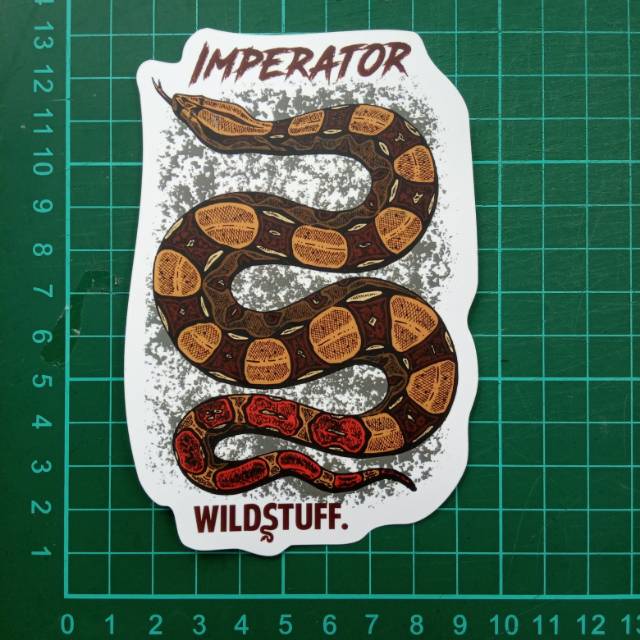 Sticker Wildstuff - ular Boa Constrictor Imperator BCI