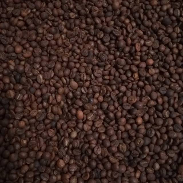 

Roasted Bean Robusta Gunung Kawi OmahGayatri Coffee Malang 1000gr