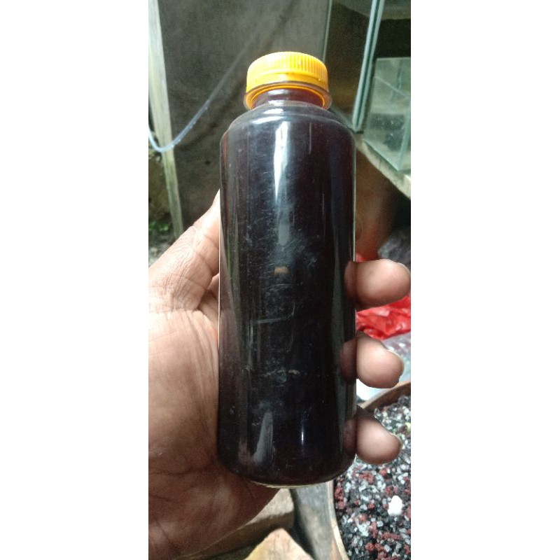 

extrak Ketapang 250ml