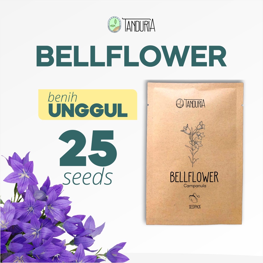 BELLFLOWER