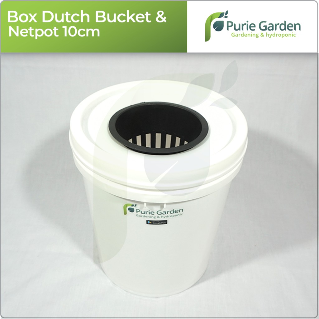 Box Hidroponik Dutch Bucket dan Netpot 10cm