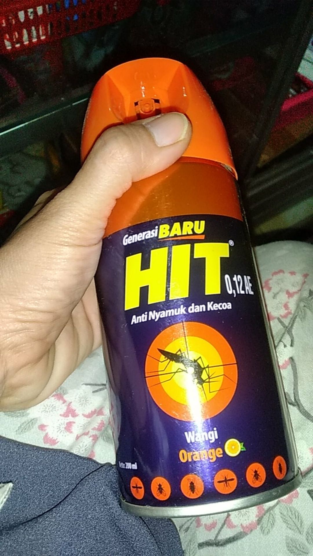 Baygon Semprot 200ml / Hit Semprot 200ml