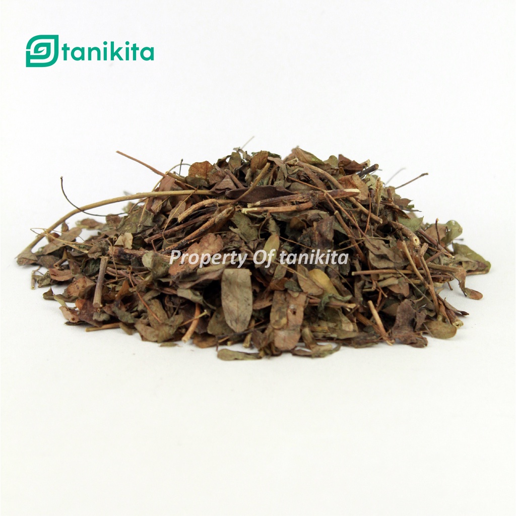 Daun Sogo Kering 500gr / Daun Saga Kering