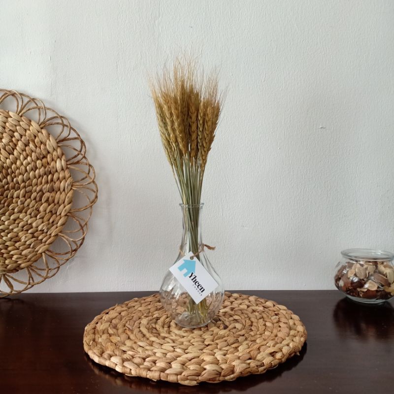 Dried Flower Wheat Bunga Kering Gandum Import