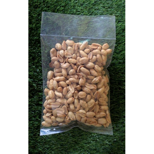 

Kacang Bali