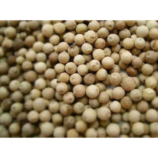 Lada Putih 1kg / Lada Bulat 1kg / Merica / White Pepper 1kg Kualitas Terjamin! 100% ASLI / Bumbu