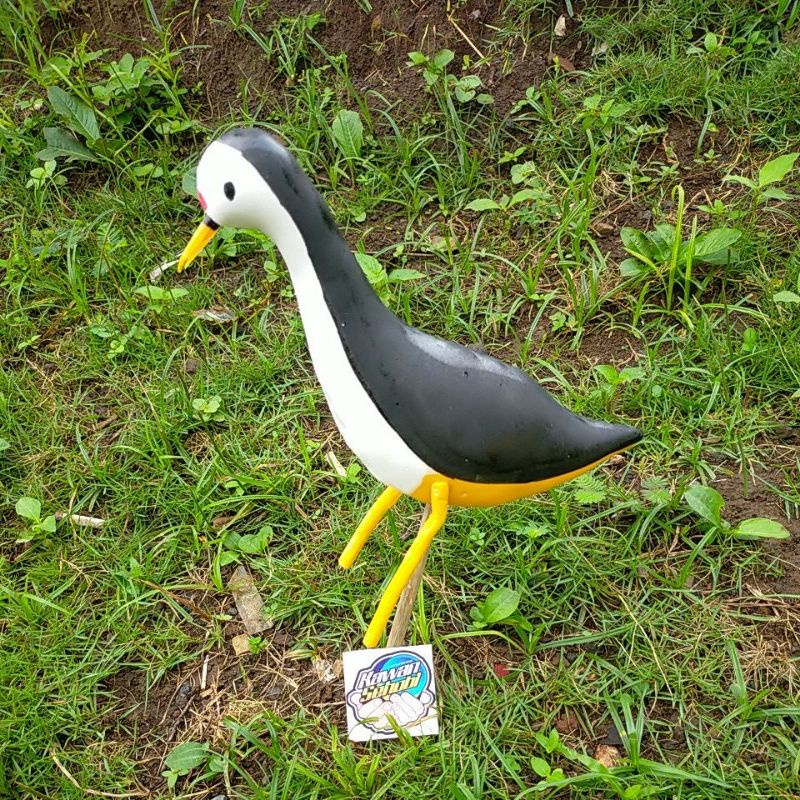 530+ Sketsa Gambar Burung Ruak Ruak HD Terbaik