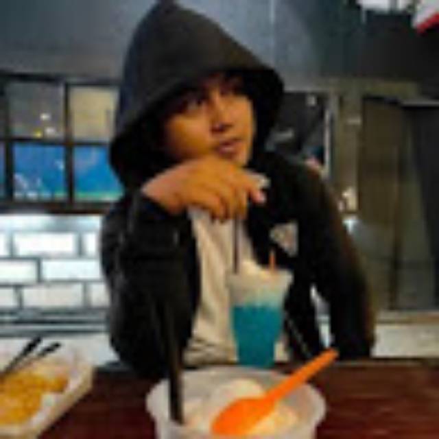 alviansx