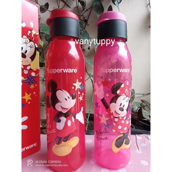 botol minum botol eco fancy tupperware 500ml 1pcs