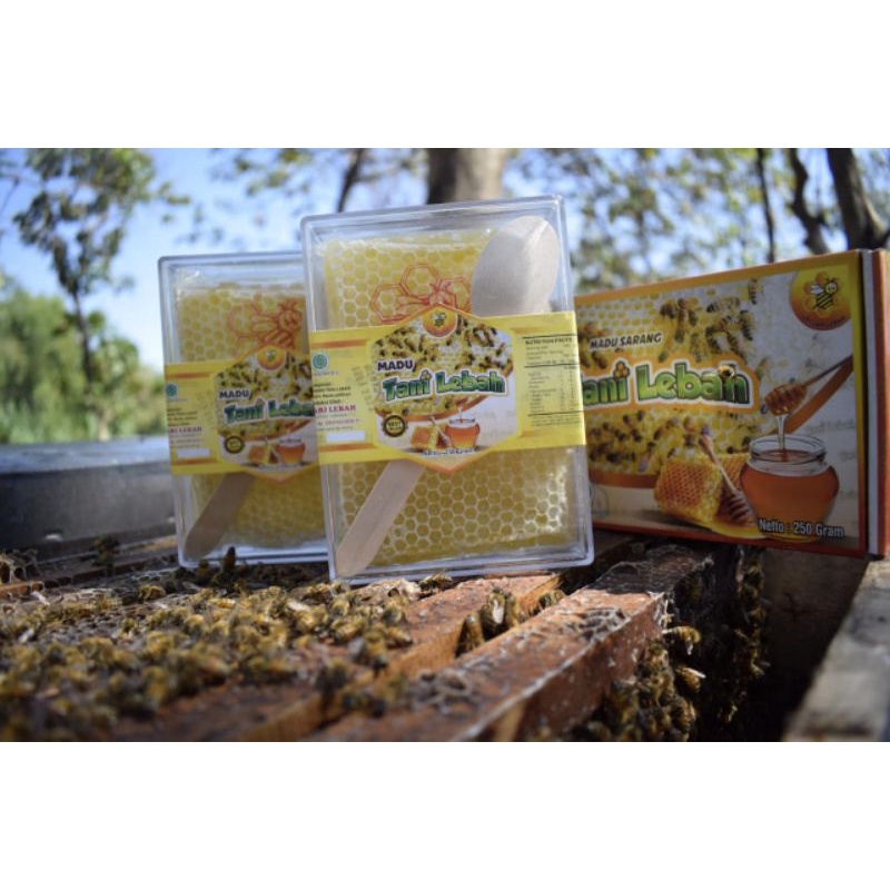 

Madu Sarang 250 gr Tani Lebah