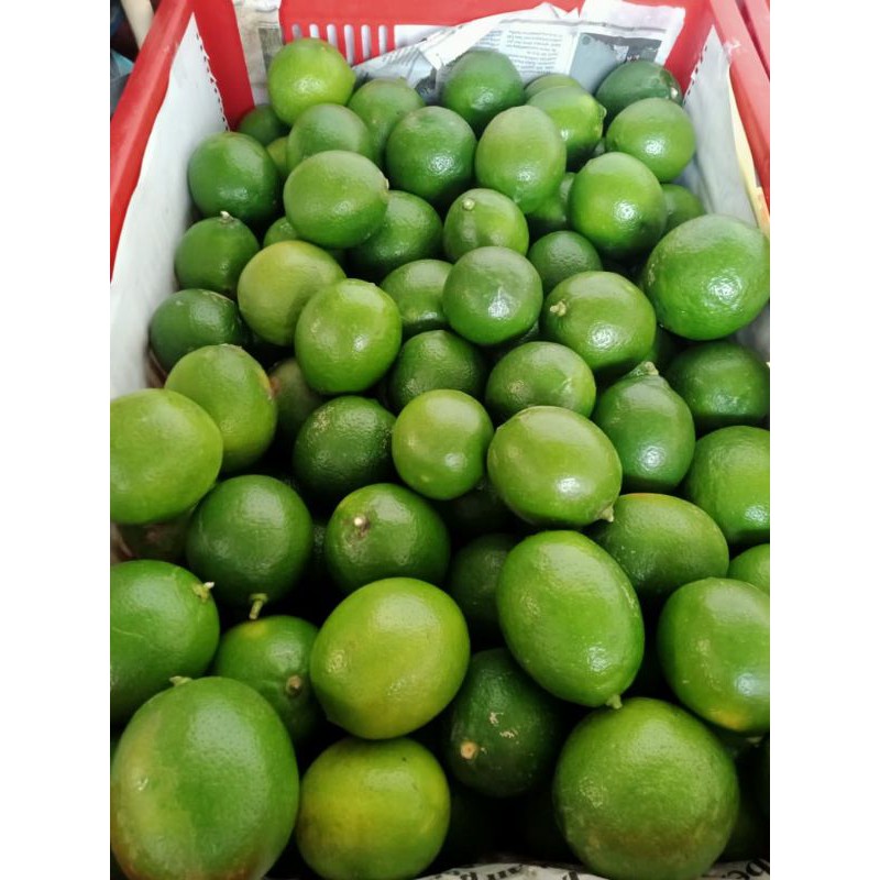 lemon california hijau 1kg