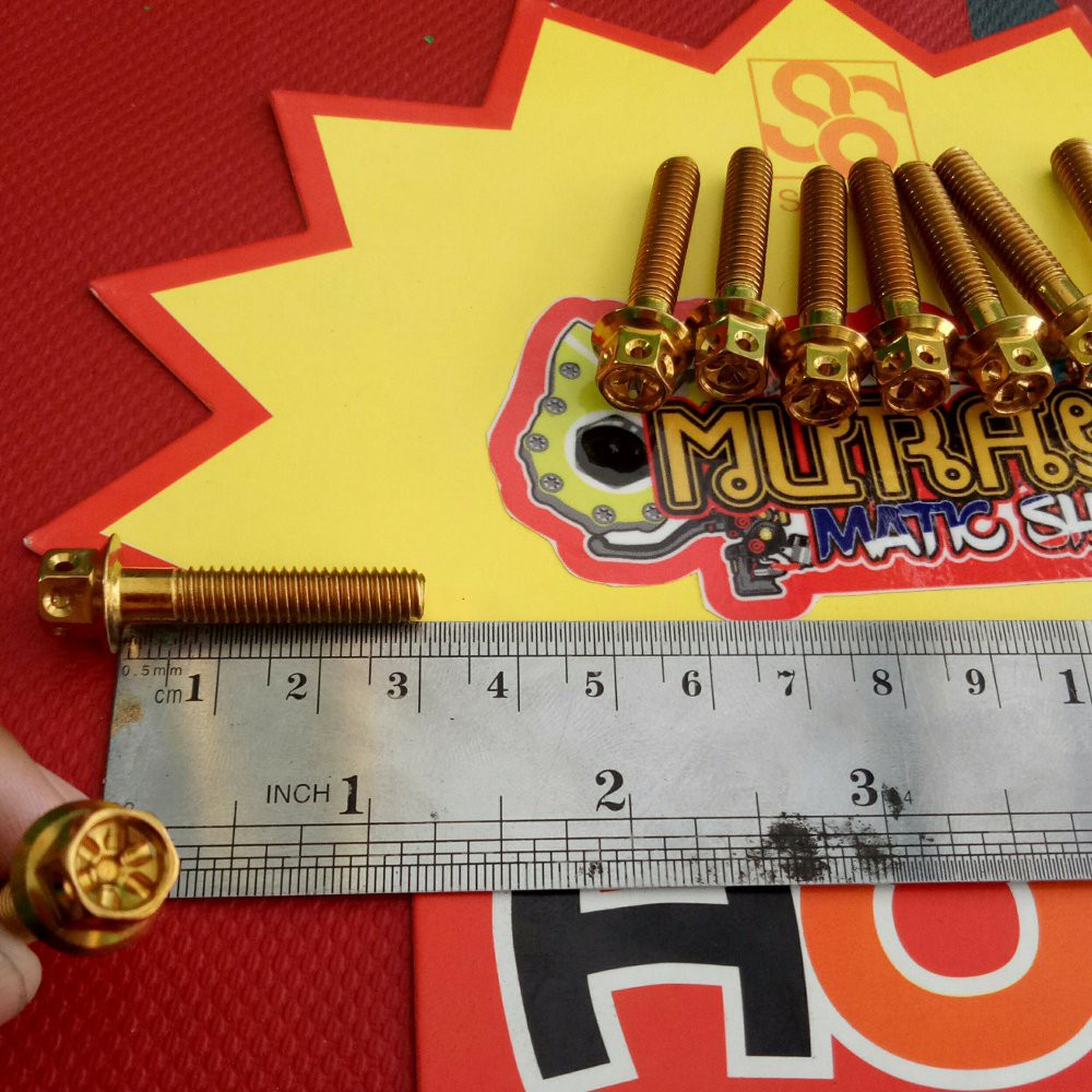 baut probolt 10x30 e disi grosir